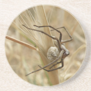 En Grès Dessous de verre de l'araignée et de l'oeuf