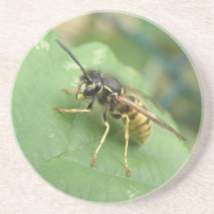 En Grès Dessous de verre de macros Hoverfly