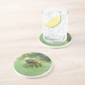 En Grès Dessous de verre de macros Hoverfly (Côté)