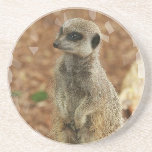 En Grès Dessous de verre de Meerkat de bébé (Devant)