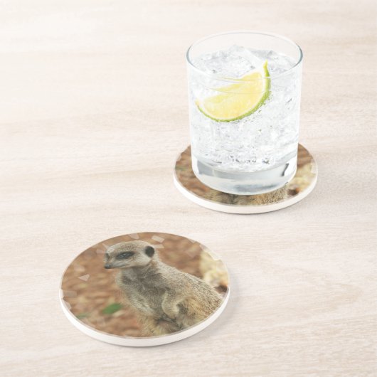 En Grès Dessous de verre de Meerkat de bébé (Côté)