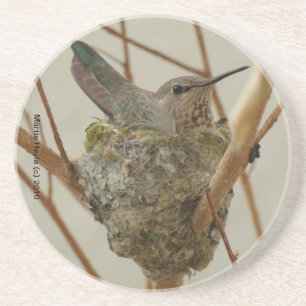 En Grès Dessous de verre de Mère Hummingbird