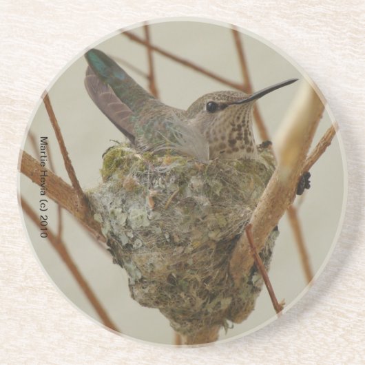 En Grès Dessous de verre de Mère Hummingbird (Devant)