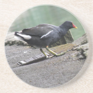 En Grès Dessous de verre de Moorhen