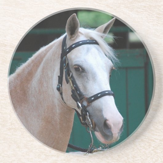 En Grès Dessous de verre de Paso Fino de palomino (Devant)