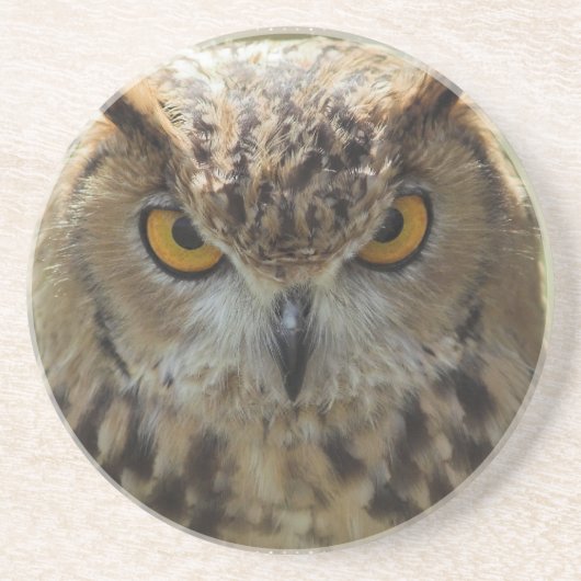En Grès Dessous de verre de photo de hibou (Devant)