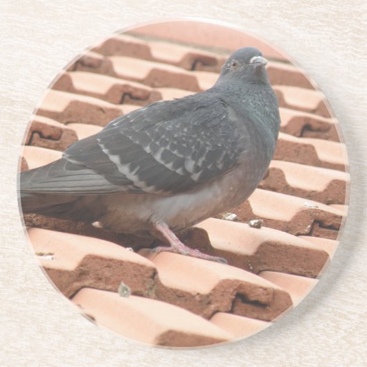 En Grès Dessous de verre de pigeon sur le toit (Devant)