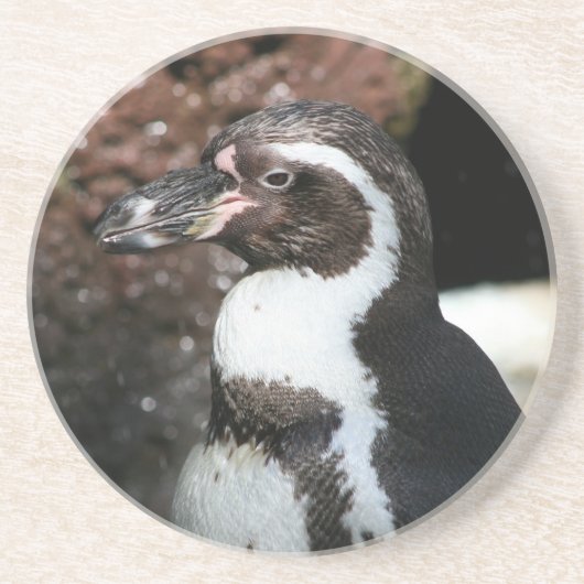 En Grès Dessous de verre de pingouin (Devant)