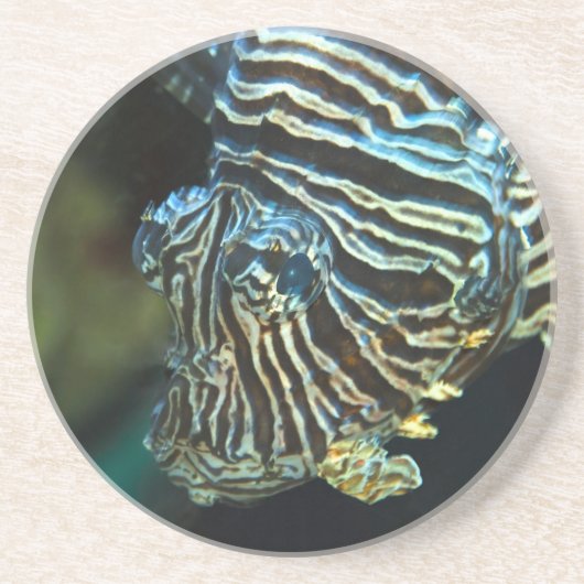 En Grès Dessous de verre de poissons-lionnes (Devant)