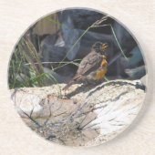 En Grès Dessous de verre de Robin (Devant)