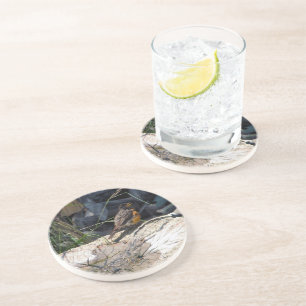 En Grès Dessous de verre de Robin
