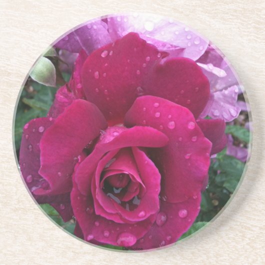 En Grès Dessous de verre de rose de pourpre (Devant)