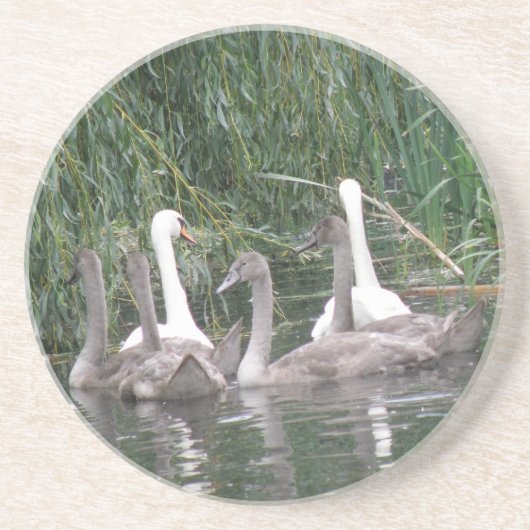 En Grès Dessous de verre de Swabs et de Cygnets (Devant)