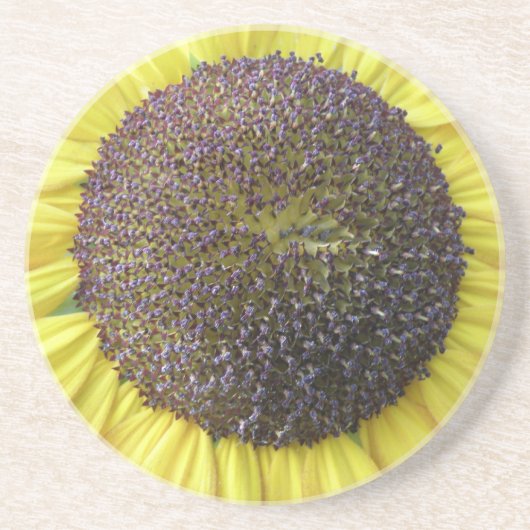 En Grès Dessous de verre de tournesol jaune (Devant)