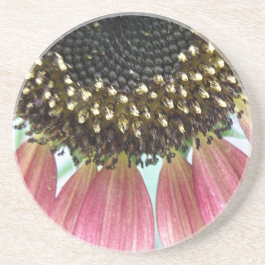 En Grès Dessous de verre de tournesol rose (Devant)