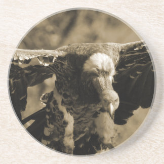 En Grès Dessous de verre de vautour