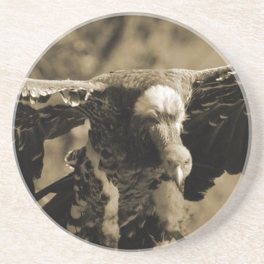 En Grès Dessous de verre de vautour (Devant)