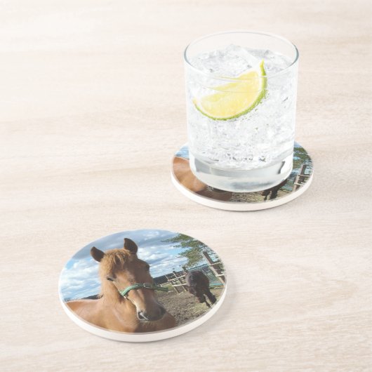 En Grès Dessous de verre des chevaux (Côté)
