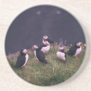 En Grès Dessous de verre des Puffins de l'Atlantique