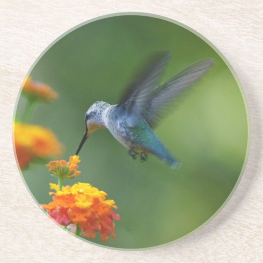 En Grès Dessous de verre d'été Hummer (Devant)