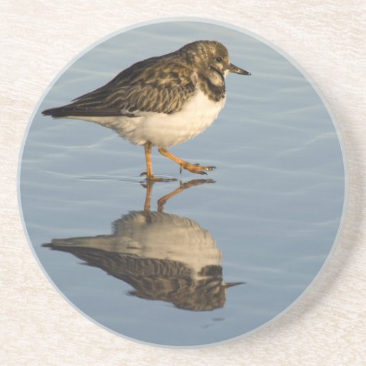 En Grès Dessous de verre d'oiseau de bécasseau (Devant)