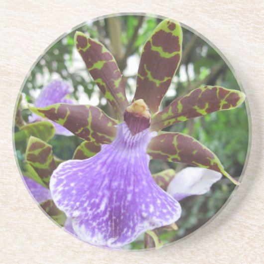 En Grès Dessous de verre d'orchidée de Zygopetalum (Devant)