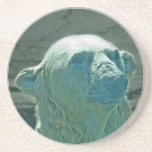 En Grès Dessous de verre d'ours polaire (Devant)