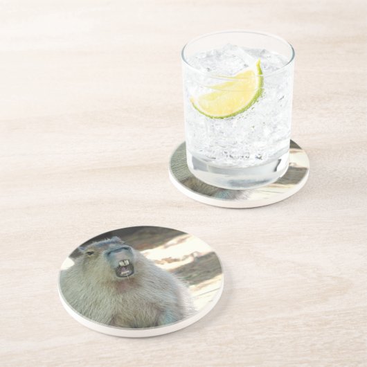 En Grès Dessous de verre drôles de Capybara (Côté)