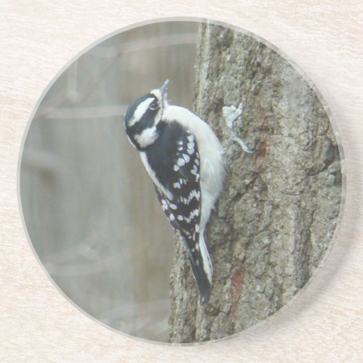En Grès Dessous de verre féminin Downy Woodpecker (Devant)
