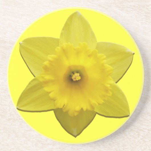 En Grès Dessous de verre Fleurs de printemps Dessous de ve (Devant)