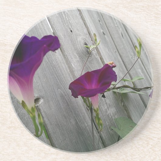 En Grès Dessous de verre Floral Boisson (Devant)