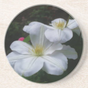 En Grès Dessous de verre floral Double Clematis