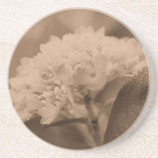 En Grès Dessous de verre floral doux Hydrangea Sepia (Devant)
