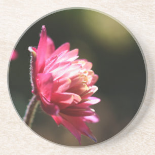 En Grès Dessous de verre floral Fleur rouge