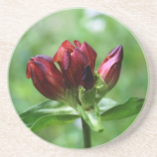 En Grès Dessous de verre Floral Gentien Rouge (Devant)