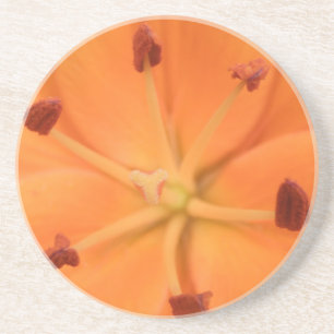 En Grès Dessous de verre floraux de Lily orange