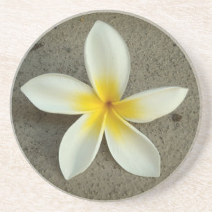 En Grès Dessous de verre floraux de Plumeria hawaii