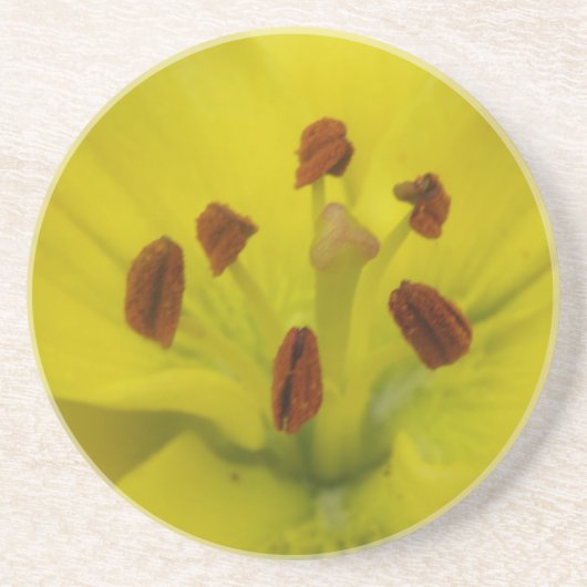 En Grès Dessous de verre floraux jaunes (Devant)