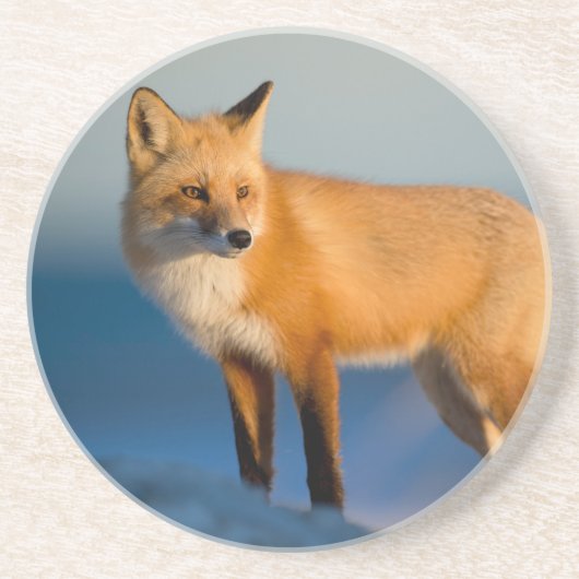 En Grès Dessous de verre Fox Brown (Devant)