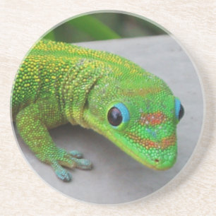 En Grès Dessous de verre Gecko de la journée de la poussiè
