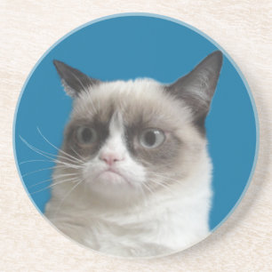 En Grès Dessous de verre grincheux de regard fixe de chat