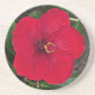 En Grès Dessous de verre Hibiscus