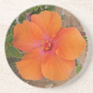 En Grès Dessous de verre Hibiscus d'Orange