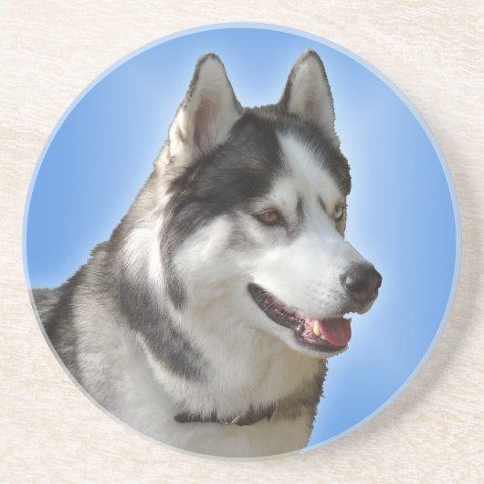 En Grès Dessous de verre Husky Dessous de verre Husky Mala (Devant)