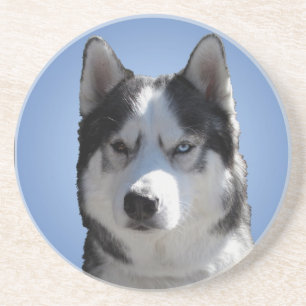 En Grès Dessous de verre Husky Dessous de verre Husky Mala