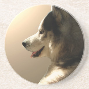 En Grès Dessous de verre Husky personnalisé Husky Chien Ch