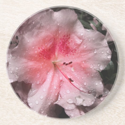 En Grès Dessous de verre intérieur (Devant)