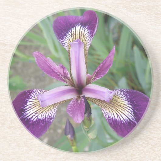 En Grès Dessous de verre Iris Violet (Devant)