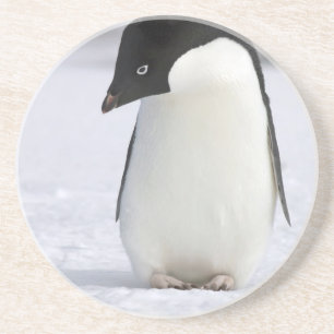 En Grès Dessous de verre isolés de pingouin