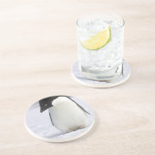 En Grès Dessous de verre isolés de pingouin (Côté)